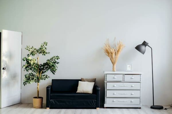 Minimalist Rugs